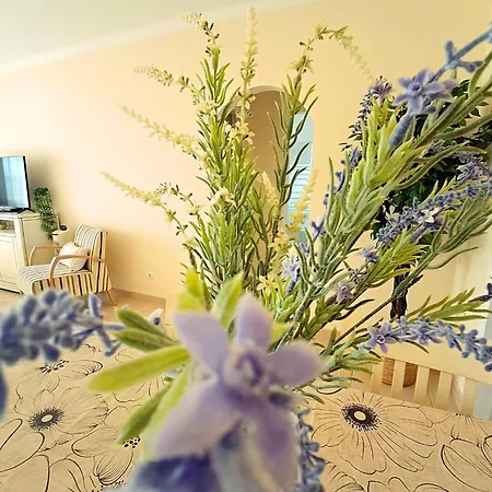 アパート Oasis Parque 1