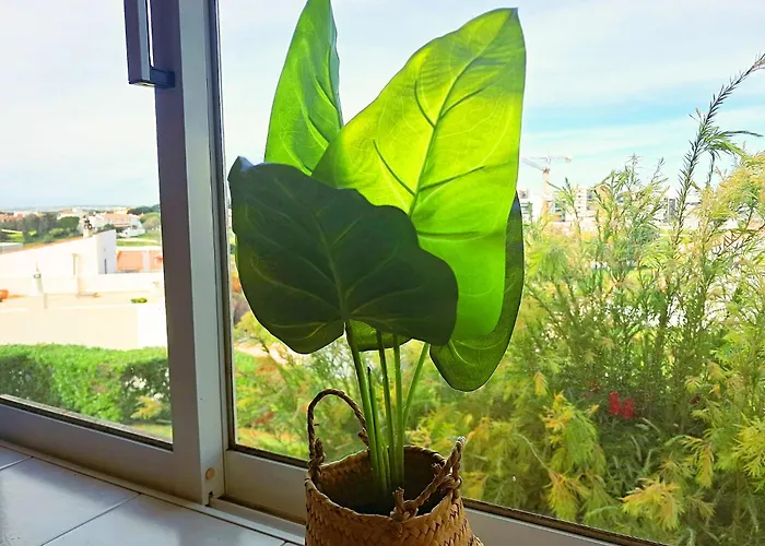 Oásis Parque 1 Appartamento Portimão